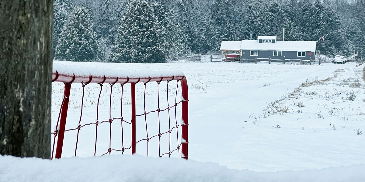 snowy-fence