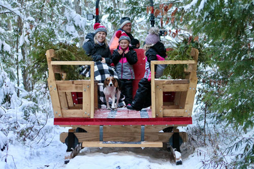 Contact Us For Sleigh Rides