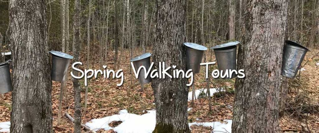 spring walking tours