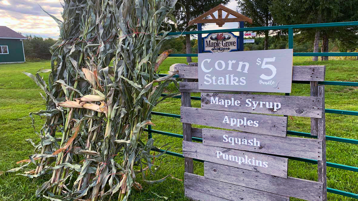 Maple Grove Syrup in Orillia & Severn Township 5