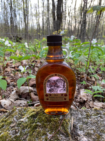 Maple Grove Syrup in Orillia & Severn Township 6