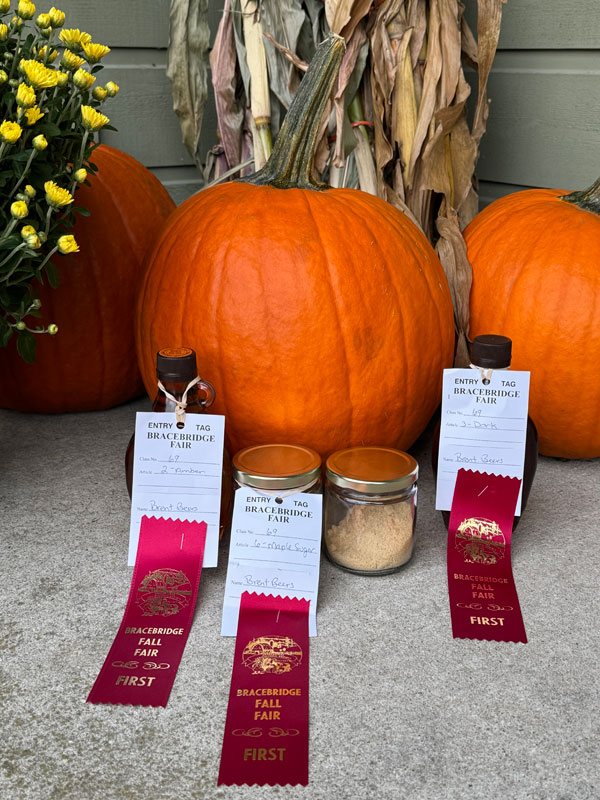 Fall Fair Ribbons 2024