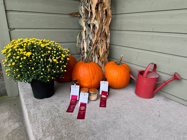 Fall Fair Ribbons 2024