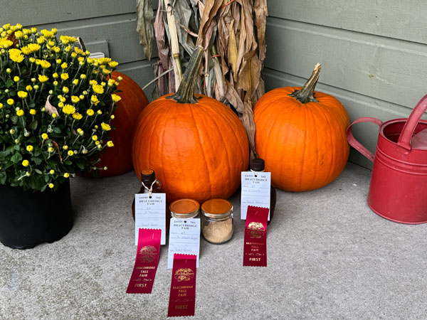 Fall Fair Ribbons 2024