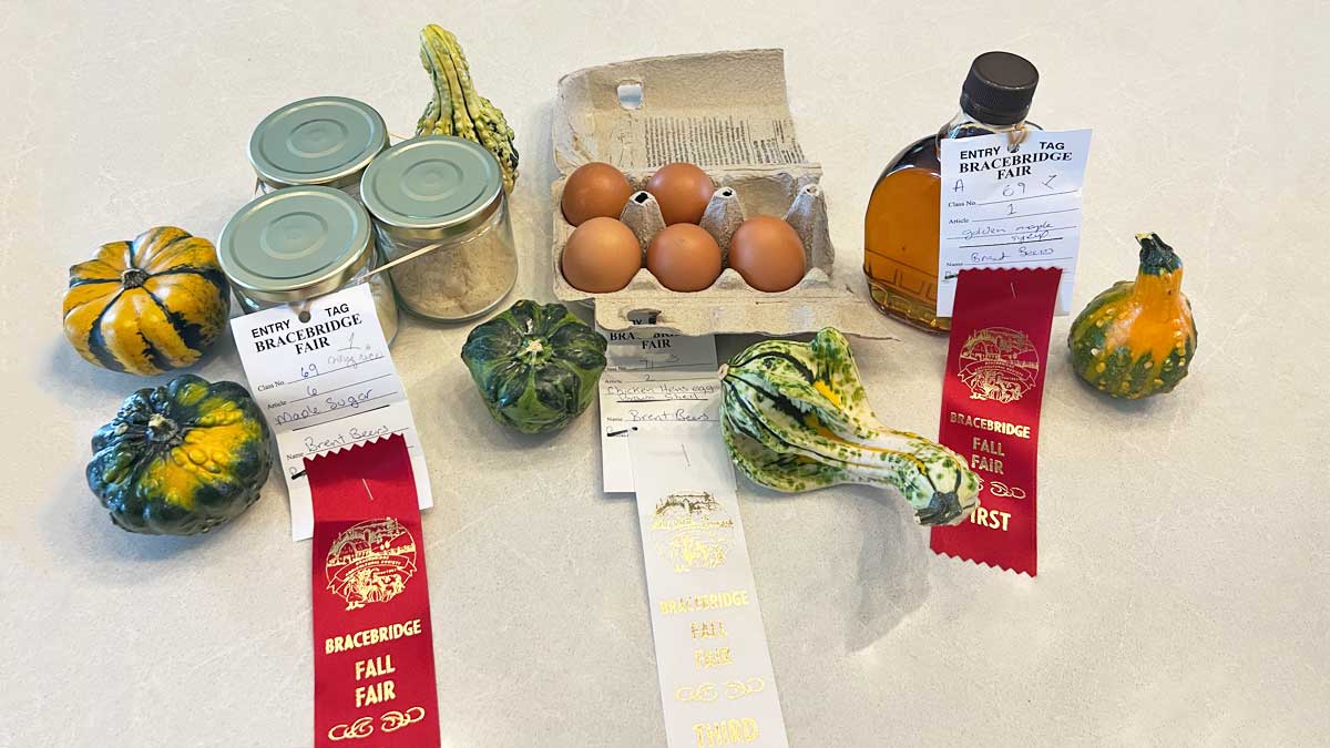 Maple Syrup & Sleigh Rides in Orillia & Severn Township