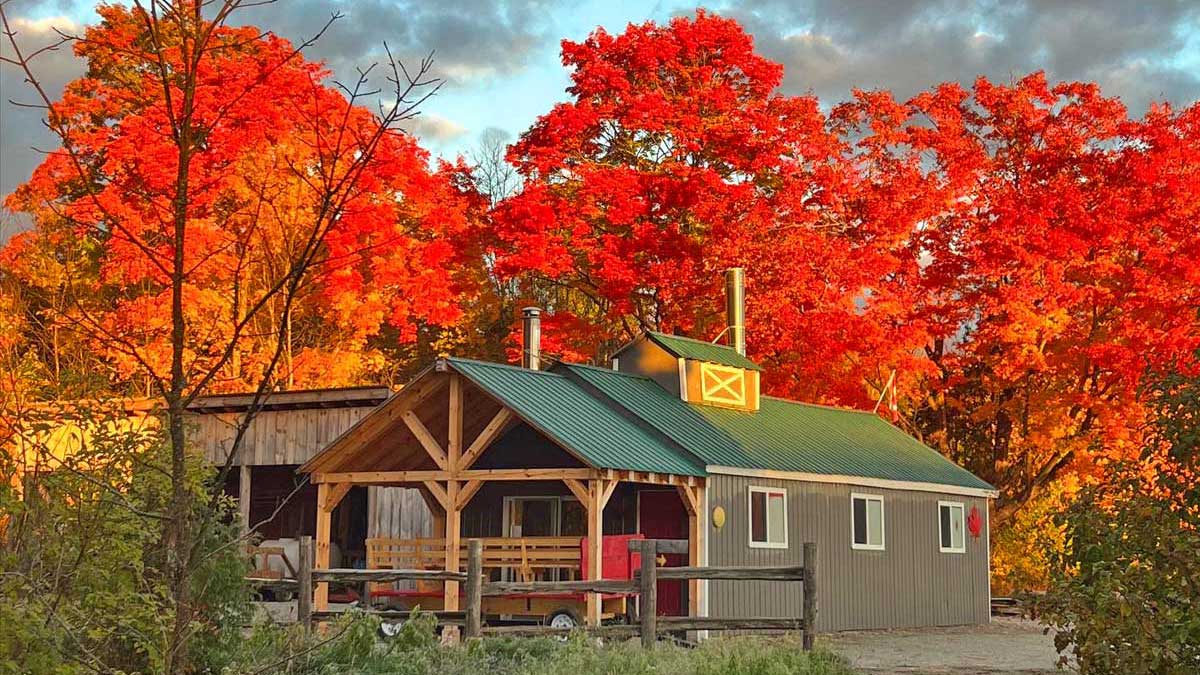 Maple Syrup & Sleigh Rides in Orillia & Severn Township