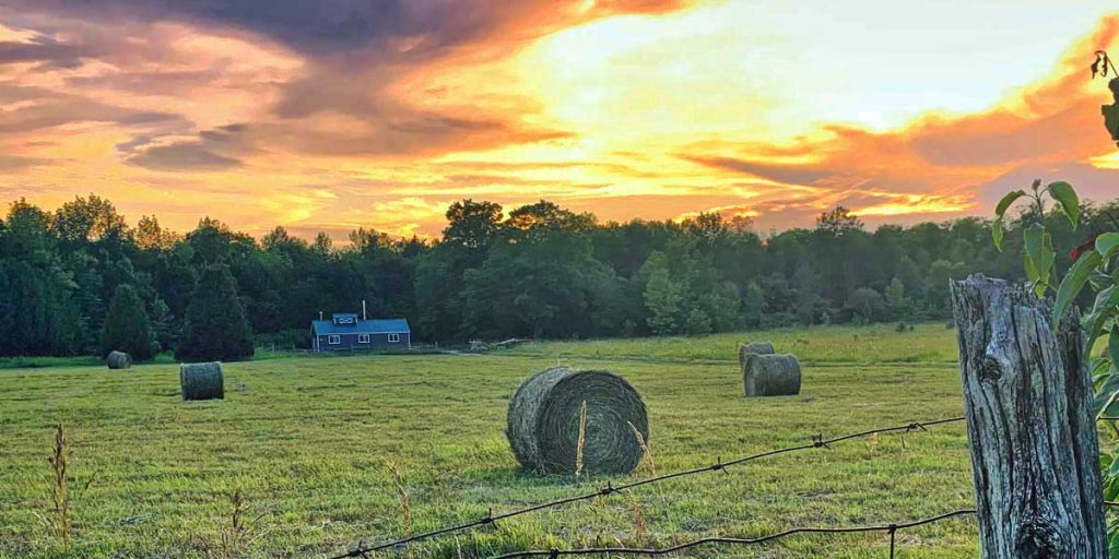Maple Grove Syrup in Orillia & Severn Township 5