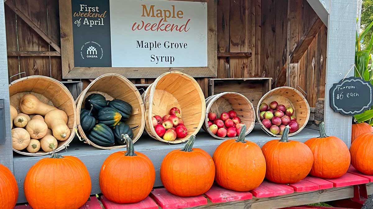 Maple Syrup & Sleigh Rides in Orillia & Severn Township