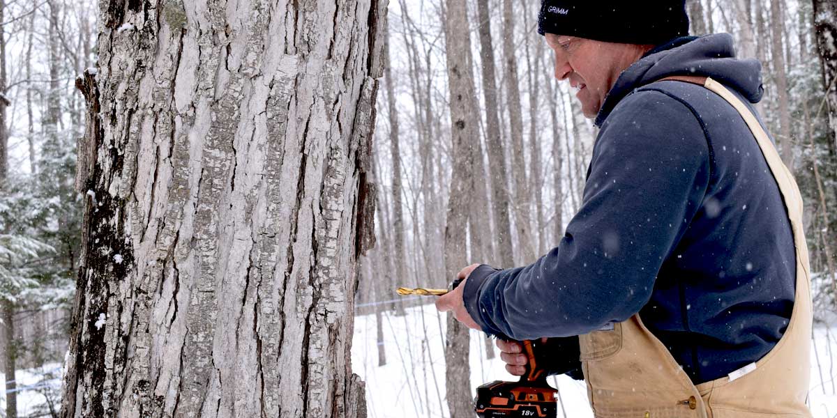 Brent Beers on Maple Grove Syrup Farm