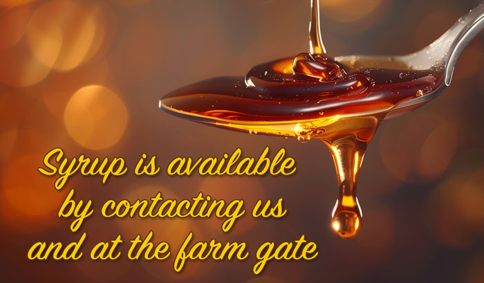 Syrup is available by contacting us and at the farm gate